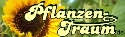 pflanzen-traum.de - Imke Schreiber